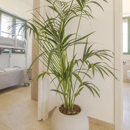 Apartamento Gentile Foce Varano